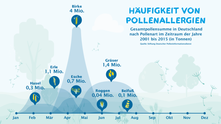 Grafik Pollenflug-Kalender Übersicht