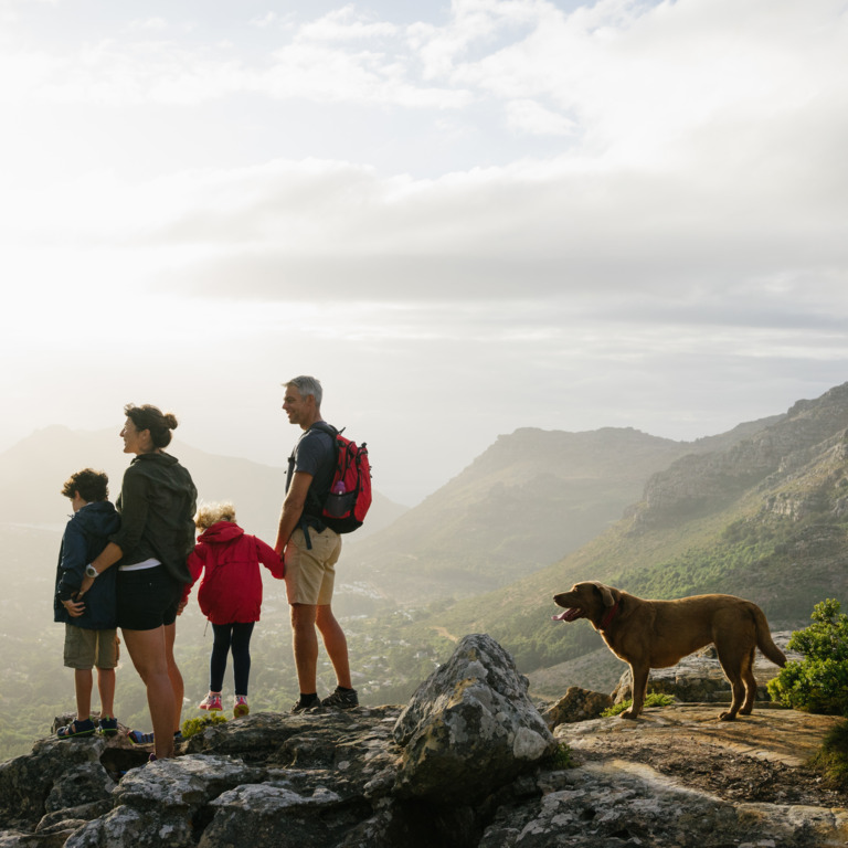 vierköpfige Familie und ihr Hund schauen während einer Bergtour über die Landschaft