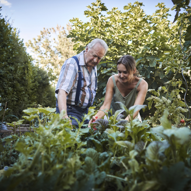 Junge Frau und Senior arbeiten im Garten zusammen
