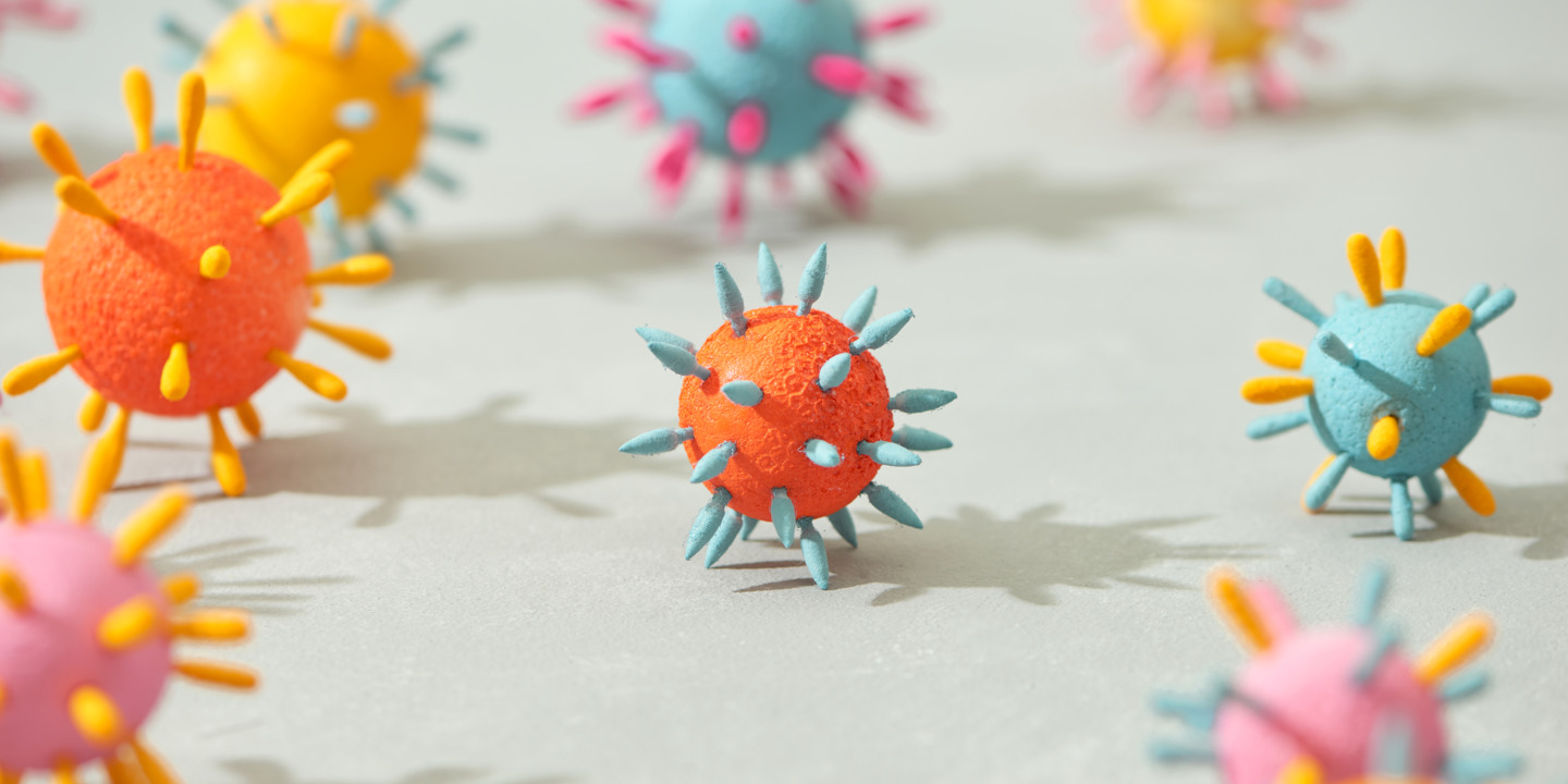 Modelle des Coronavirus SARS-CoV-2