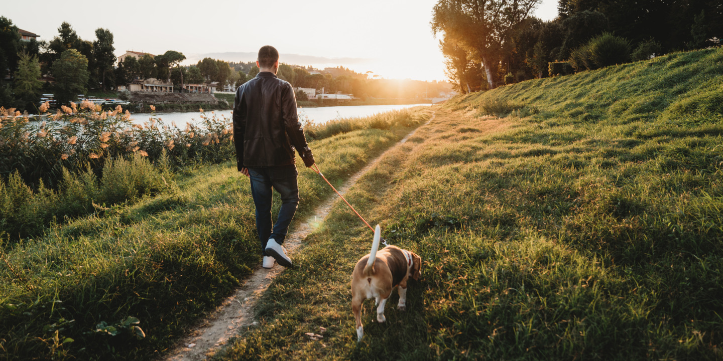 Man geht mit Hund spazieren