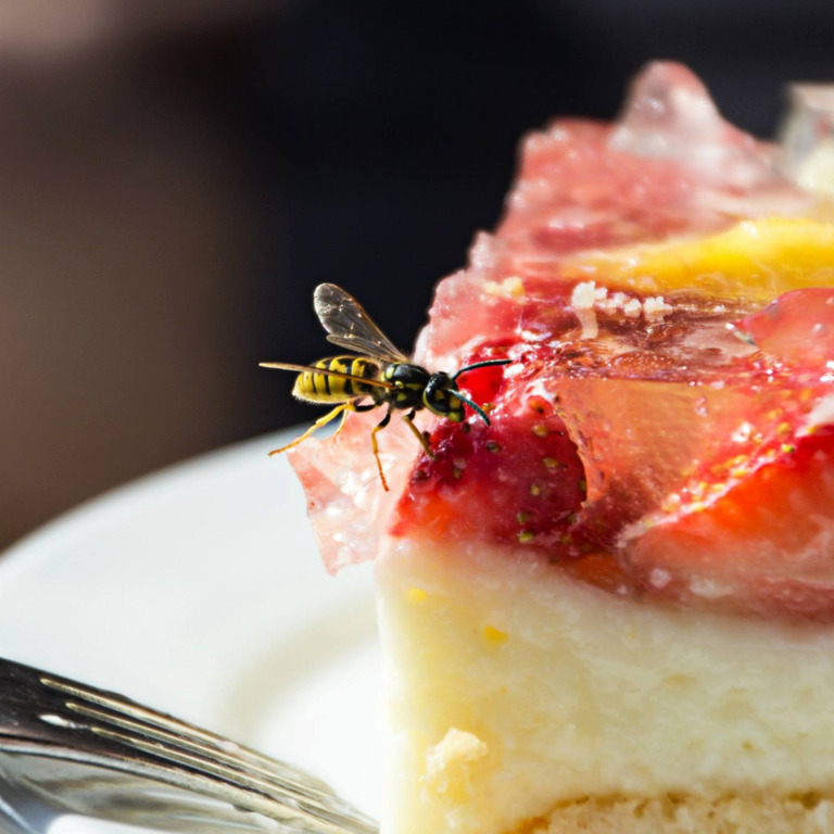 Wespe sitzt auf einem Stück Erdbeerkuchen