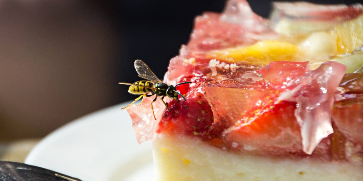 Wespe sitzt auf Erdbeerkuchen