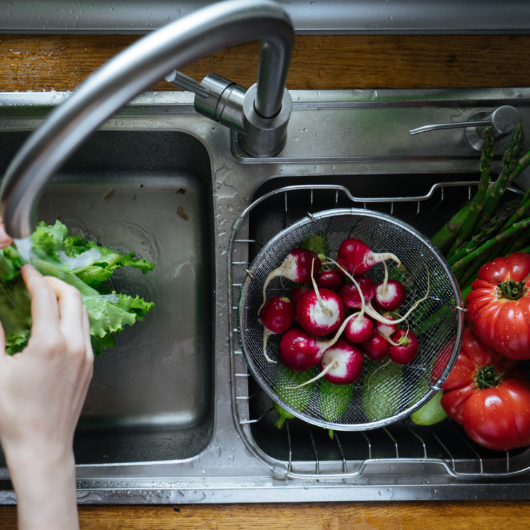 Saisongemüse wie Radieschen und Tomaten in Sieb in Spüle