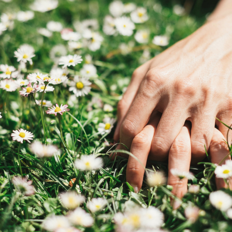 Zwei Hände auf einer Blumenwiese.