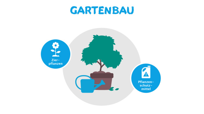 Infografik Allergieauslöser Gartenbau