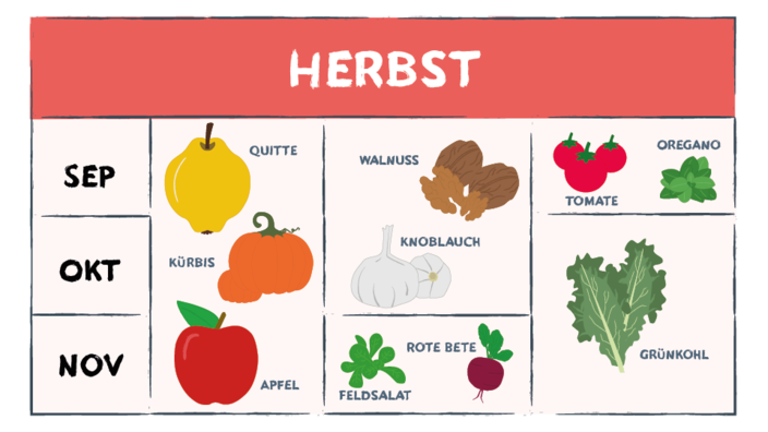 Infografik mit Herbstgemüse und -obst