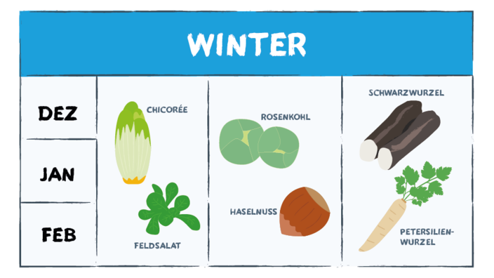 Infografik mit Wintergemüse und -obst