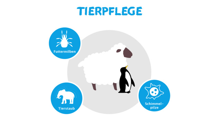 Infografik Allergieauslöser Tierpflege