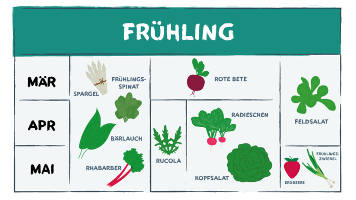 Infografik mit Frühlingsgemüse und -obst