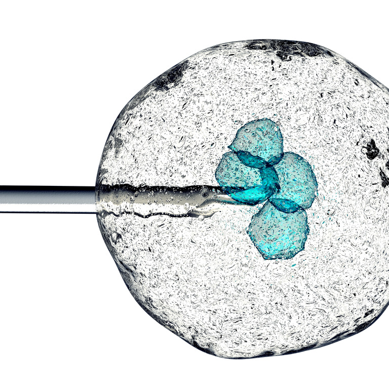Mikroskopisches Bild einer Zelle, in die eine Pipette reingestochen wird