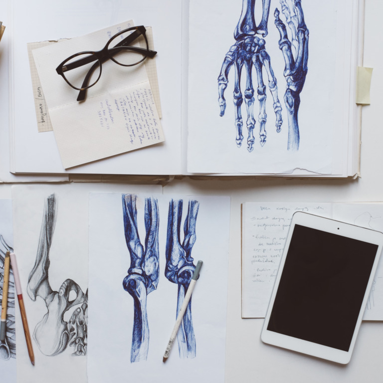 Mehrere Zeichnungen von Knochen mit Osteoporose auf einem Schreibtisch
