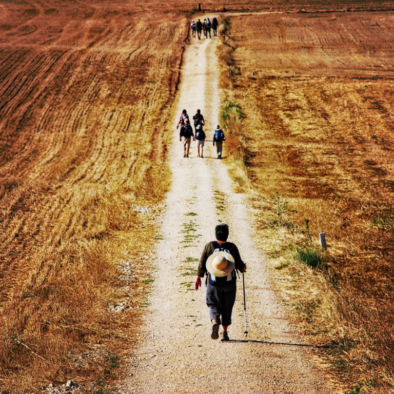 verschiedene kleinere Pilgergruppen wandern auf einem Feldweg