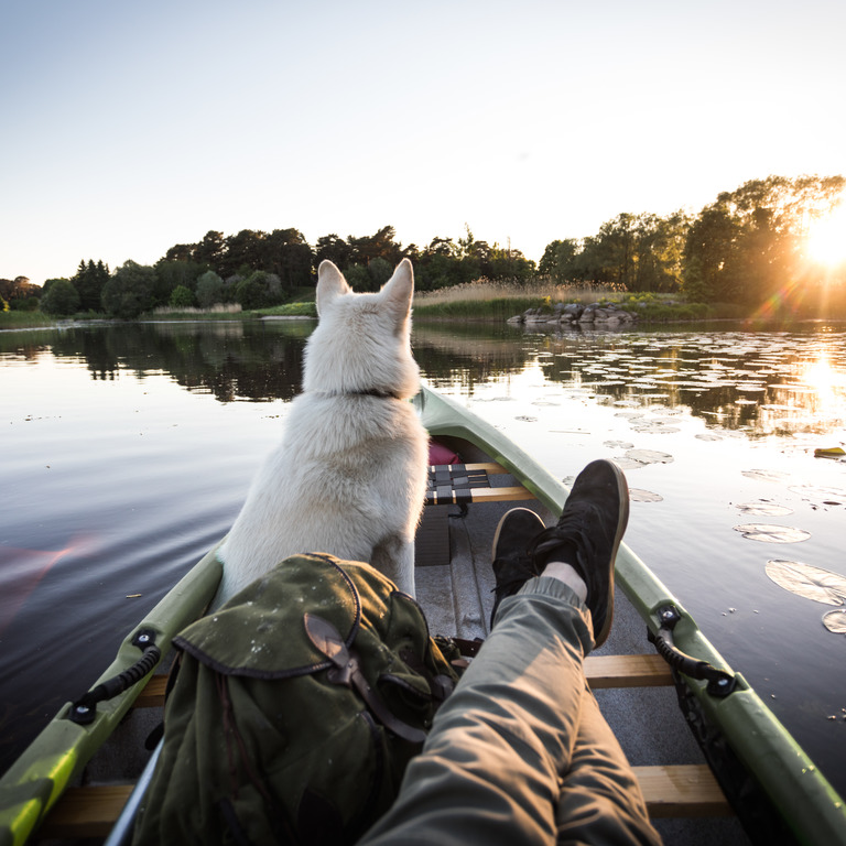 Mann sitzt mit seinem Hund in einem Boot