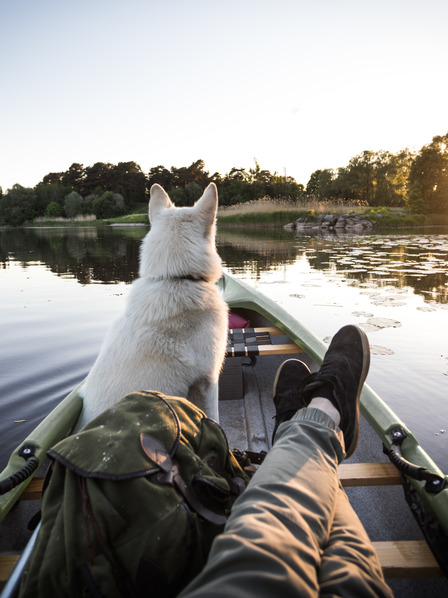 Mann sitzt mit seinem Hund in einem Boot