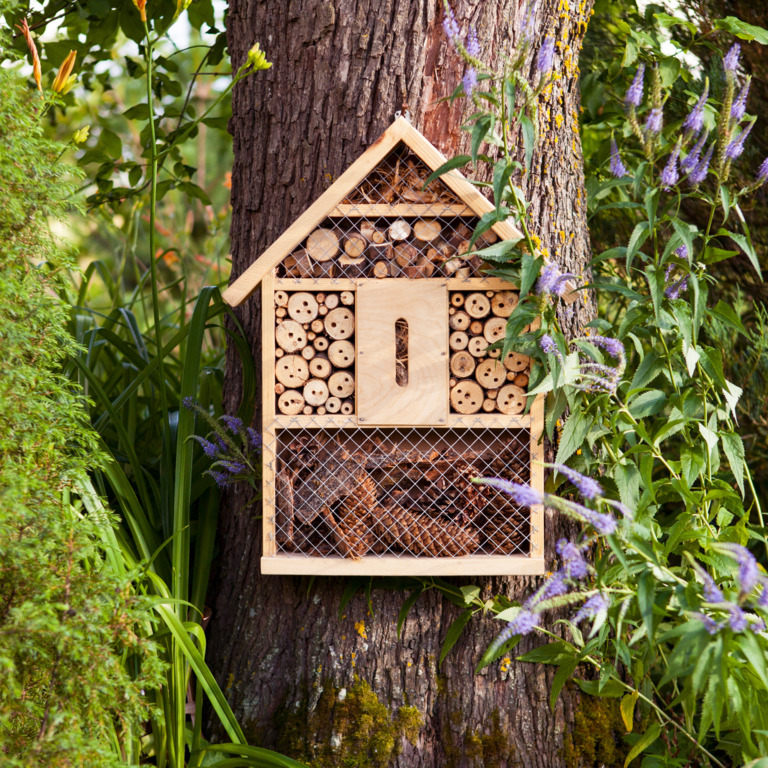 Ein Insektenhotel hängt an einem Baum in mitten von grünen Sträuchern.