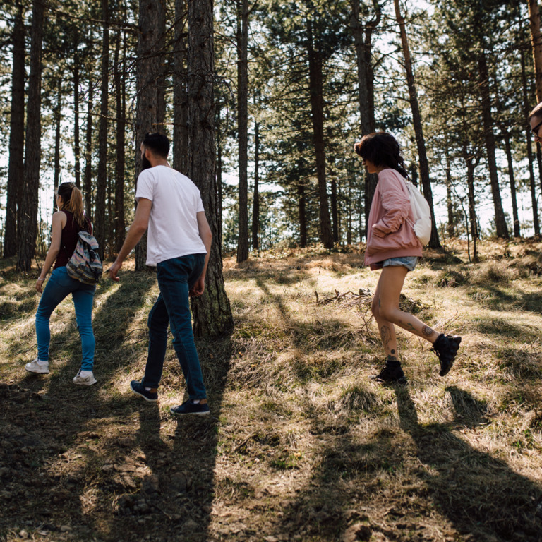 Vier Menschen gehen durch einen Wald spazieren.