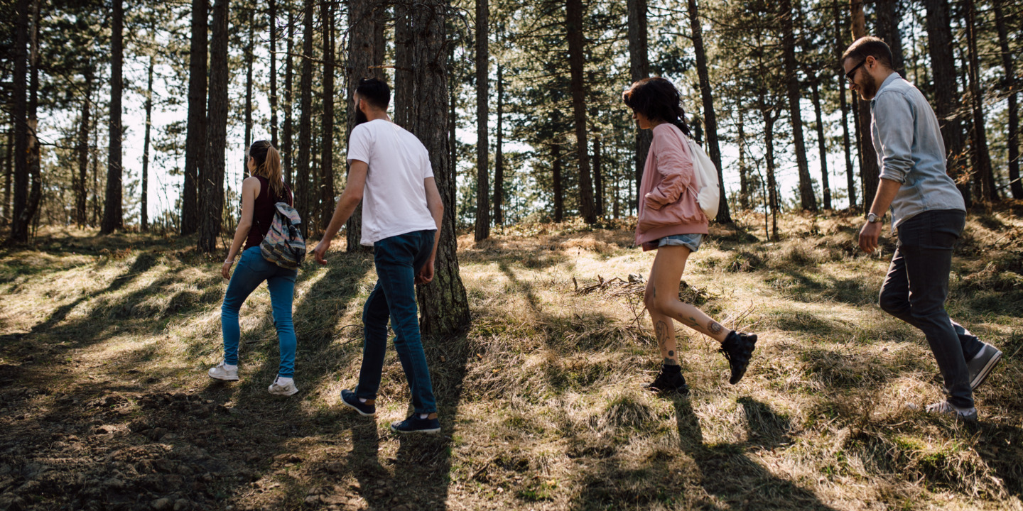 Eine Gruppe junger Leute, die Wandern geht.