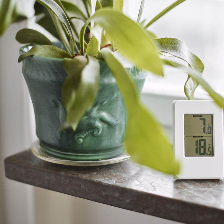 Thermosthat auf der Fensterbank