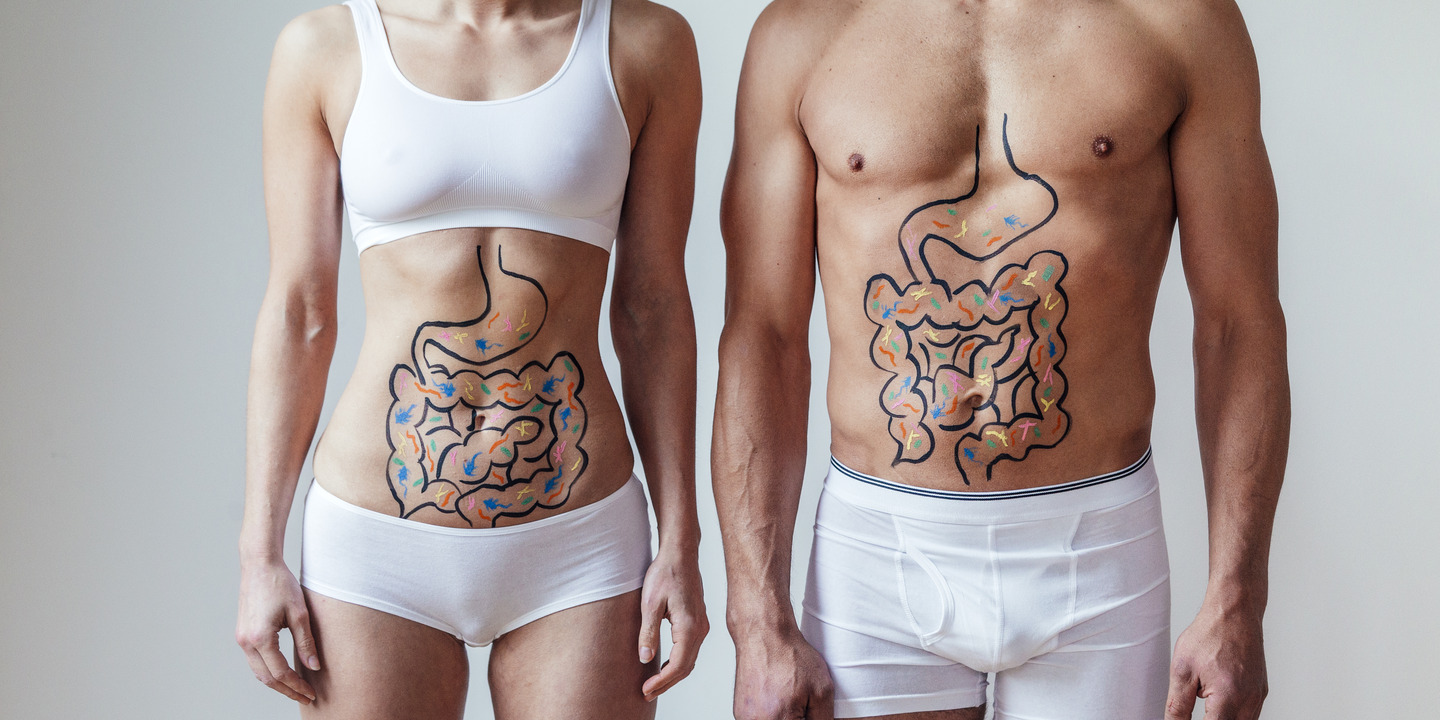 Frau und Mann stehen nebeneinander in Unterwäsche und der Magen-Darm-Trakt ist mit Stift auf ihrem Körper eingezeichnet