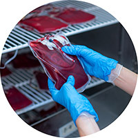 Person nimmt Blutkonserve aus dem Laborkühlschrank
