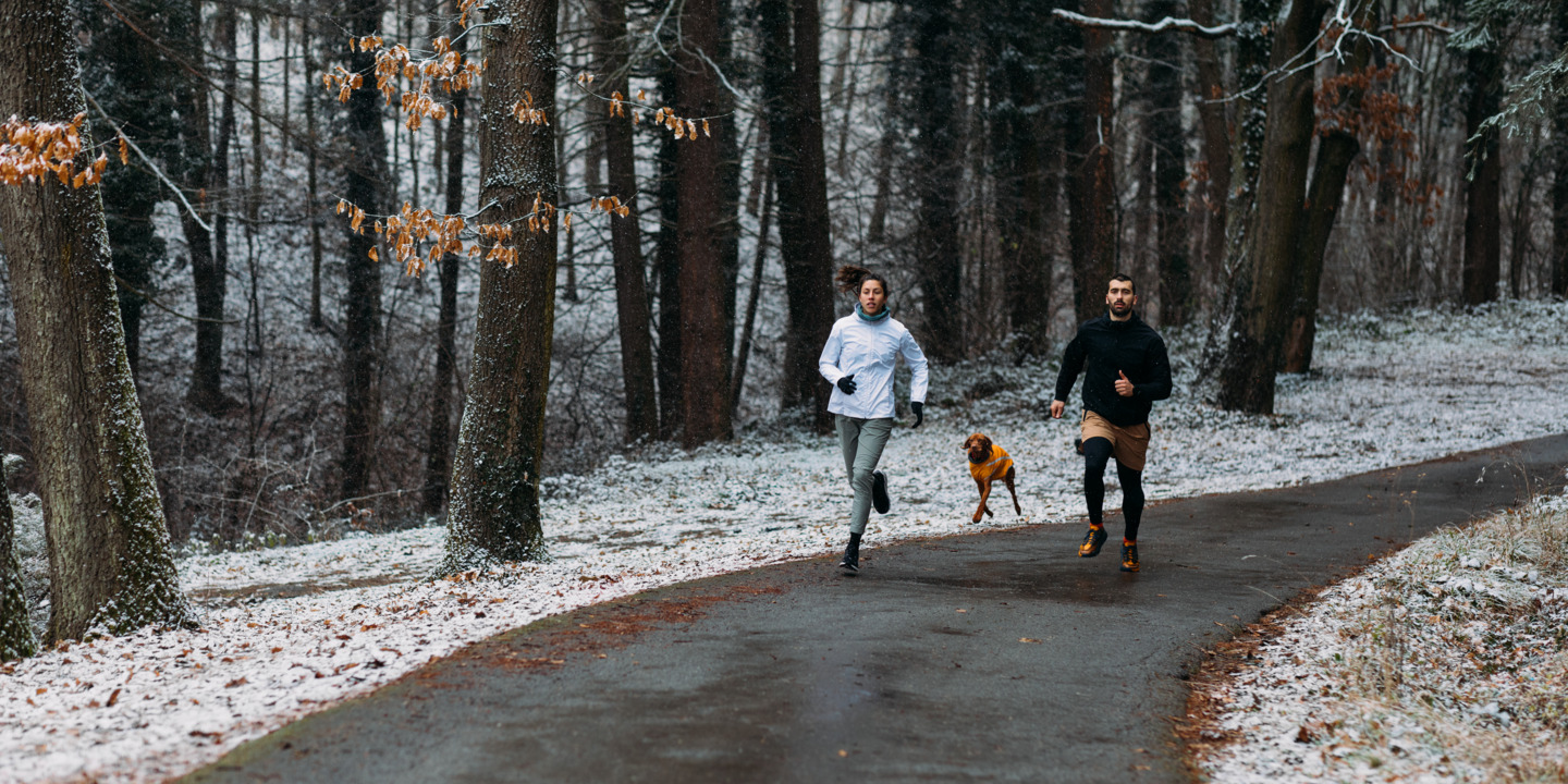 Zwei Personen und Hund joggen im Winter durch den Wald.
