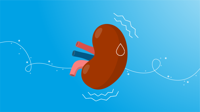 Illustration einer Niere, die durch Hitze belastet ist. 